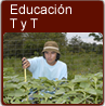 Fortalecimiento de la Educaci�n T�cnica y Tecnol�gica