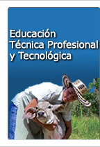 Educaci�n T�cnica Profesional y Tecnol�gica
