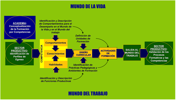 imagen grafico_competencias.gif