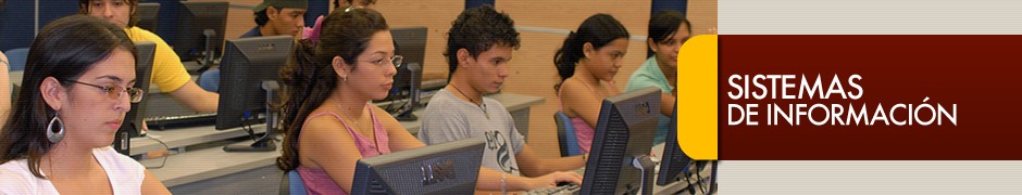 Sistemas de Informaci�n
