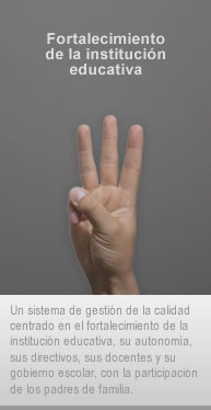 Fortalecimiento de la instituci�n educativa