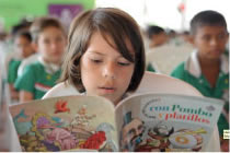 Plan Nacional de Lectura y Escritura