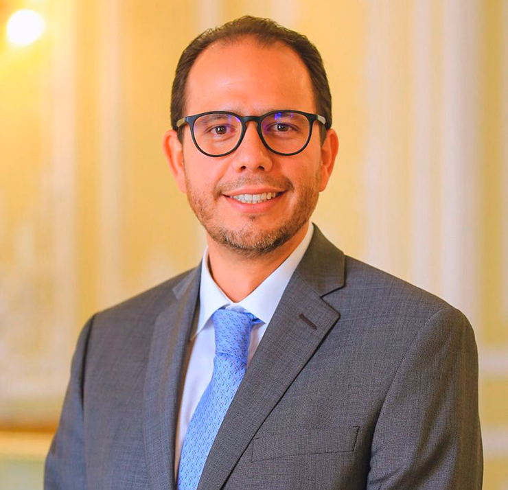 Luis Fernando Pérez Pérez. Viceministro de Educación Superior Luis Fernando Pérez Pérez. Viceministro de Educación Superior