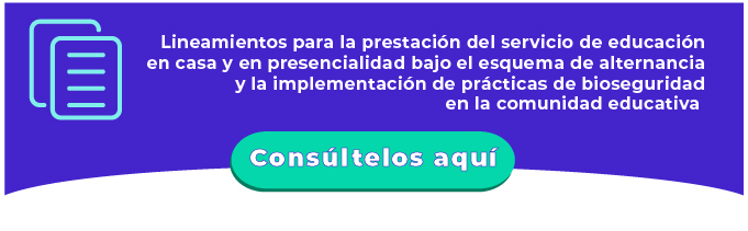Lineamiento para la prestación del servicio de educación en casa y en presencialidad bajo el esquema de alternancia y la implementación de prácticas de bioseguridad en la comunidad educativa
