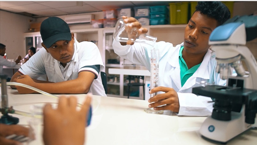 Estudiantes de educación superior Estudiantes de educación superior