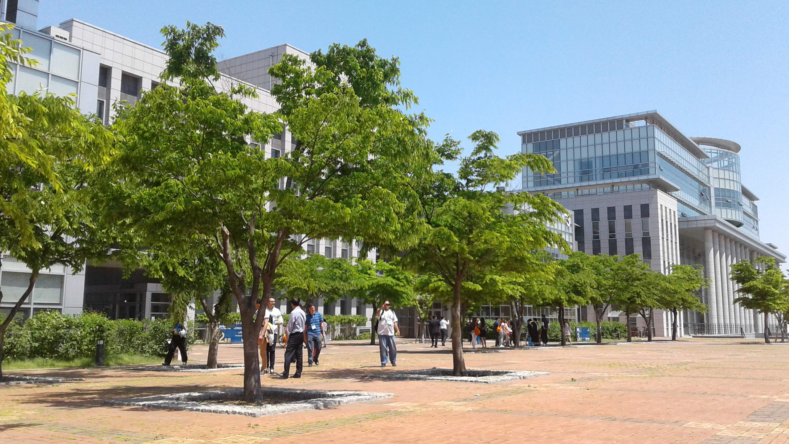 Imagen de arbustos Corea 2017