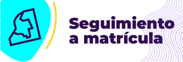 Seguimiento a Matrículas