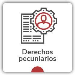Icono de acceso a Derechos pecuniarios 