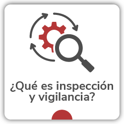 Icono de acceso a ¿Qué es inspección y vigilancia?