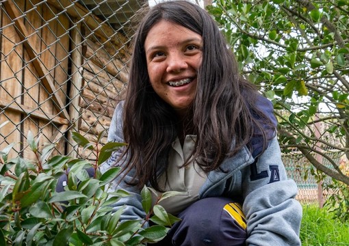 Estudiante sembrando un arbol
