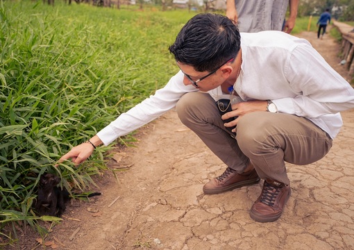 Ministro de Educación Daniel Rojas y el gato amazónico