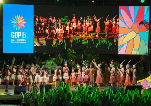 La educación y las alianzas interinstitucionales: hacia la sostenibilidad ambiental