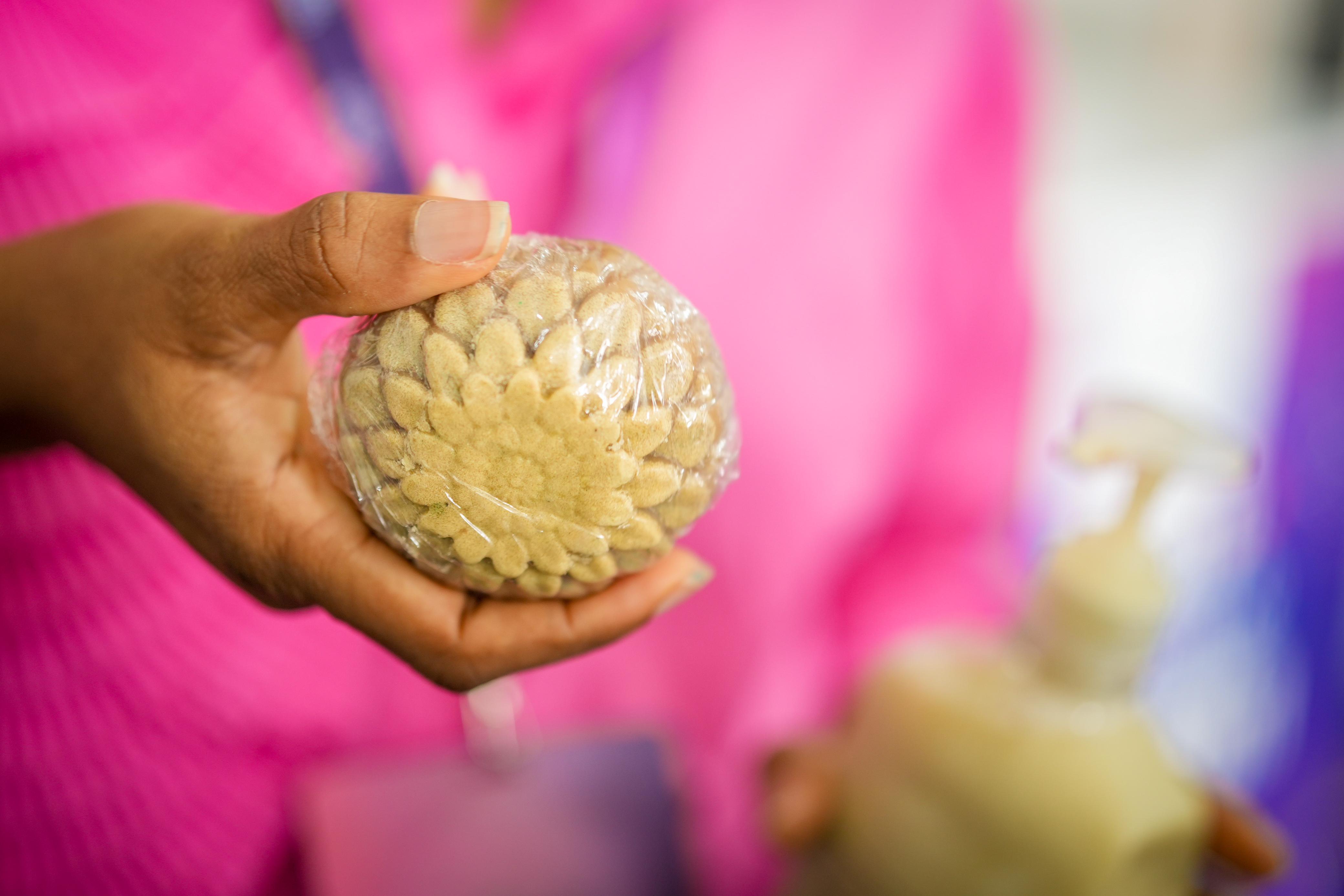 Foro Educativo Nacional 2024