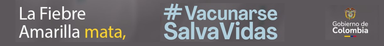 La fiebre amarilla mata