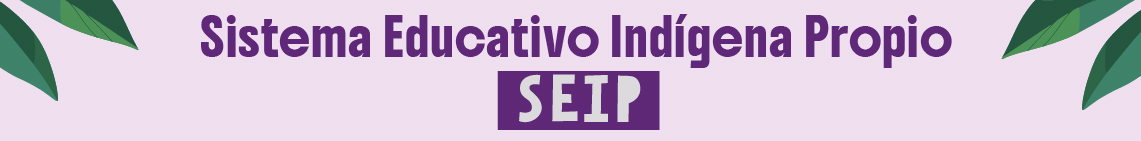 Sistema Educativo Indígena Propio - SEIP