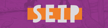  Inicio del micrositio Sistema Educativo indígena propio - SEIP