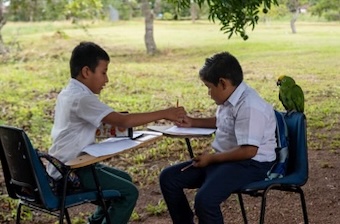 En Vichada, tres niños crean podscat, bajo un palo de mango y con un celular