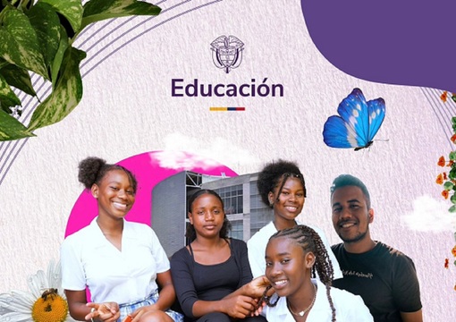 Diseño Mineducación