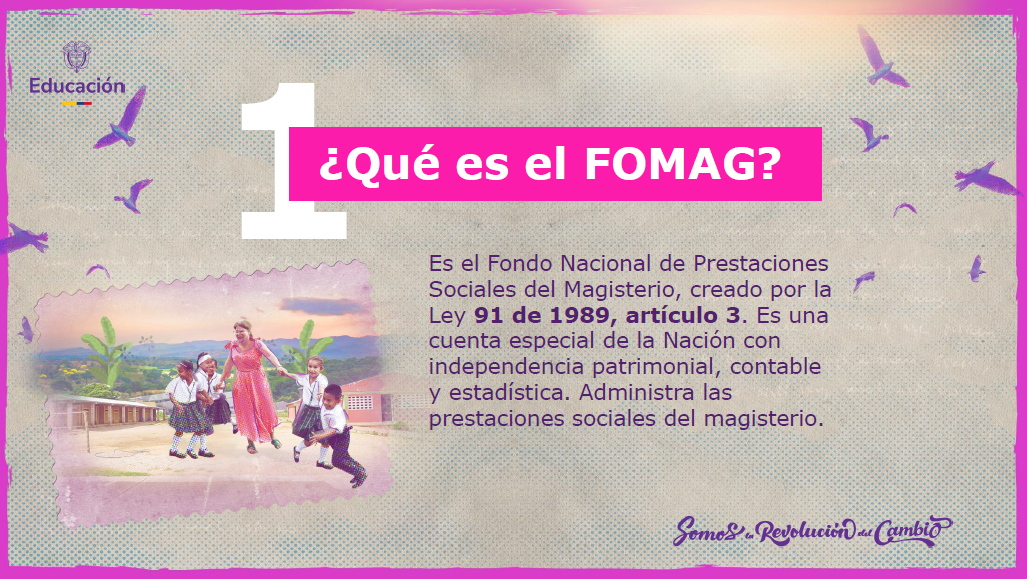 Qué es FOMAG