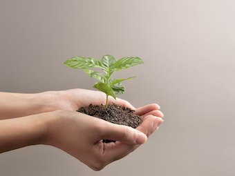 ¿Por qué es relevante la nueva Política Nacional de Educación Ambiental, en qué va su actualización?