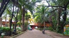 Gracias, presidente Petro