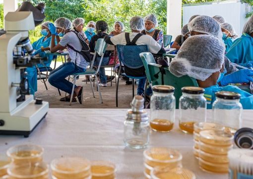 Estudiantes de Clubes de Ciencia