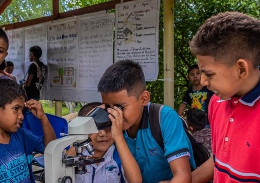 Grupo de cuatro niños explorando con un microscopio