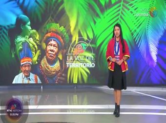 Sistema de educación indígena propio