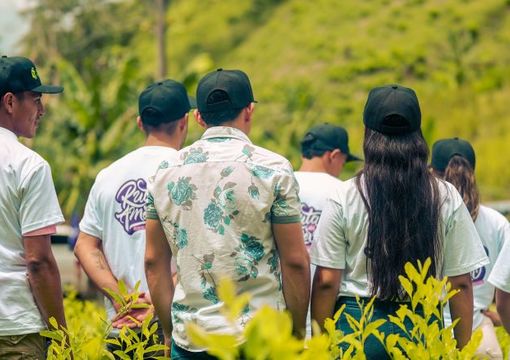 Estudiantes de espalda