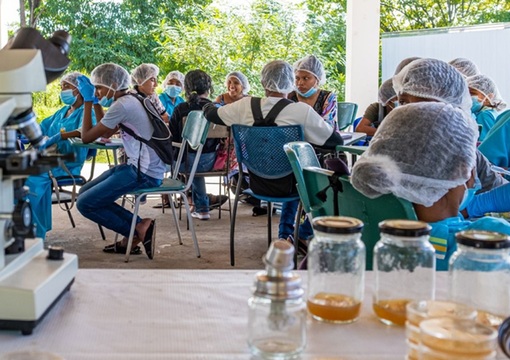 Implementación Clubes de Ciencia 2024