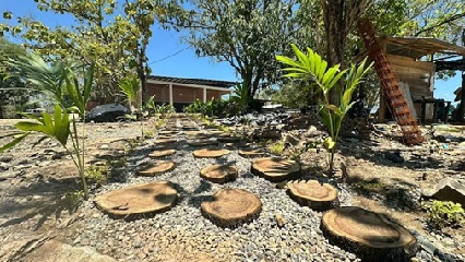 Shakira prepara la entrega de un nuevo colegio en el Catatumbo: “La educación trae esperanza”