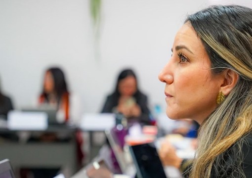 Mesa Técnica comité directivo FOMAG