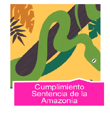 Banner cumplimiento sentencia de la Amazonía