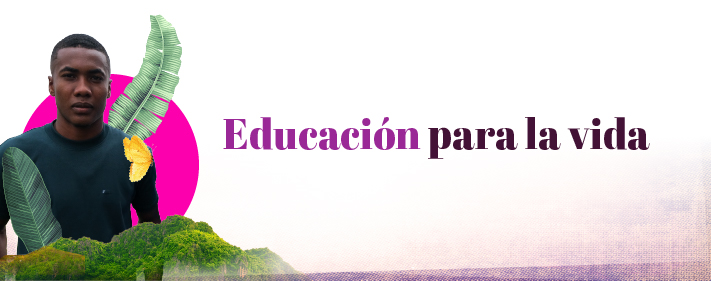 Botón de acceso a Información sobre Preescolar, Básica y Media