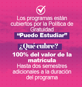Los programas están cubiertos por la Política de Gratuidad “Puedo Estudiar”