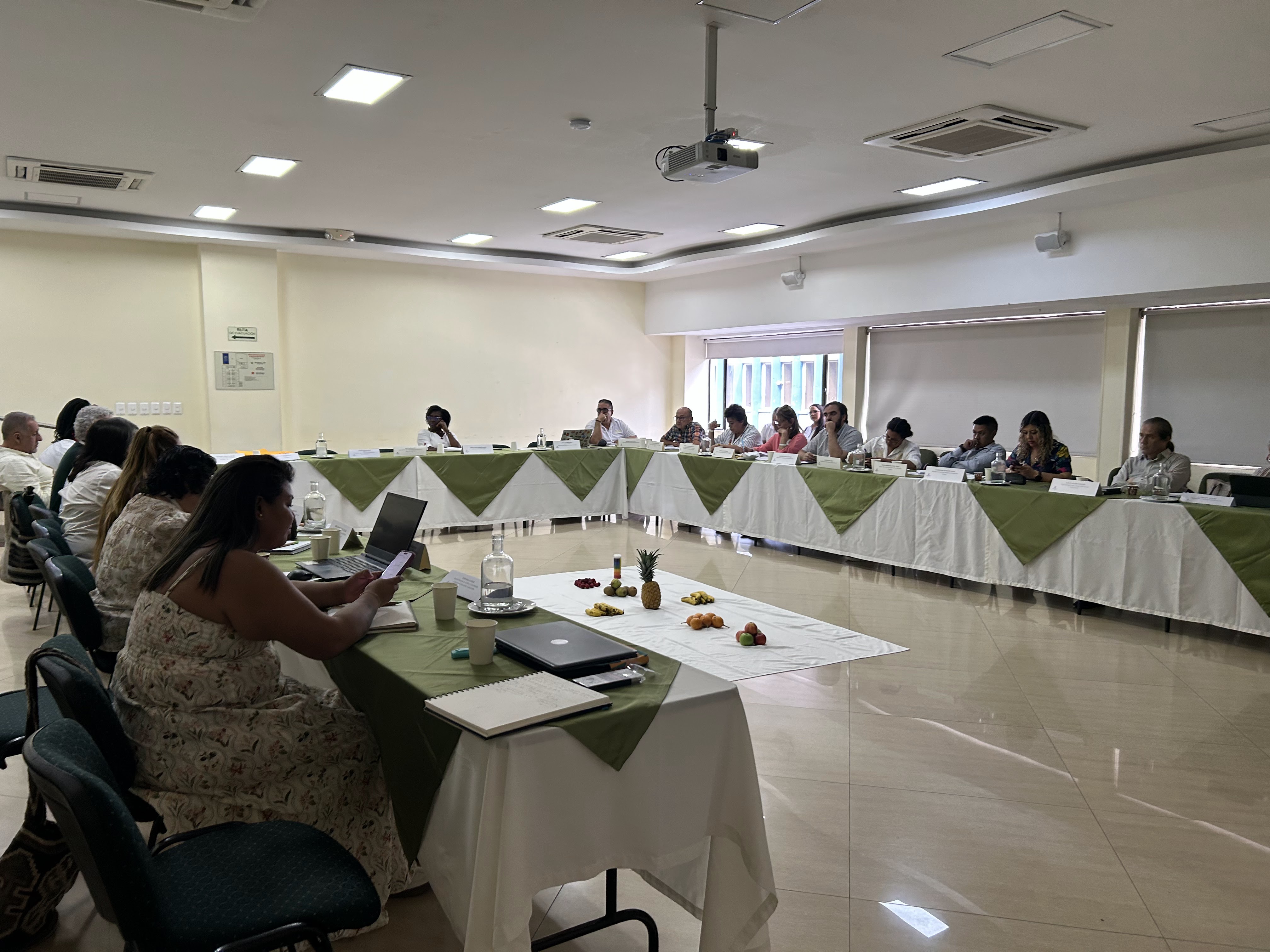 Socializaciones en el Consejo Nacional de Cultura