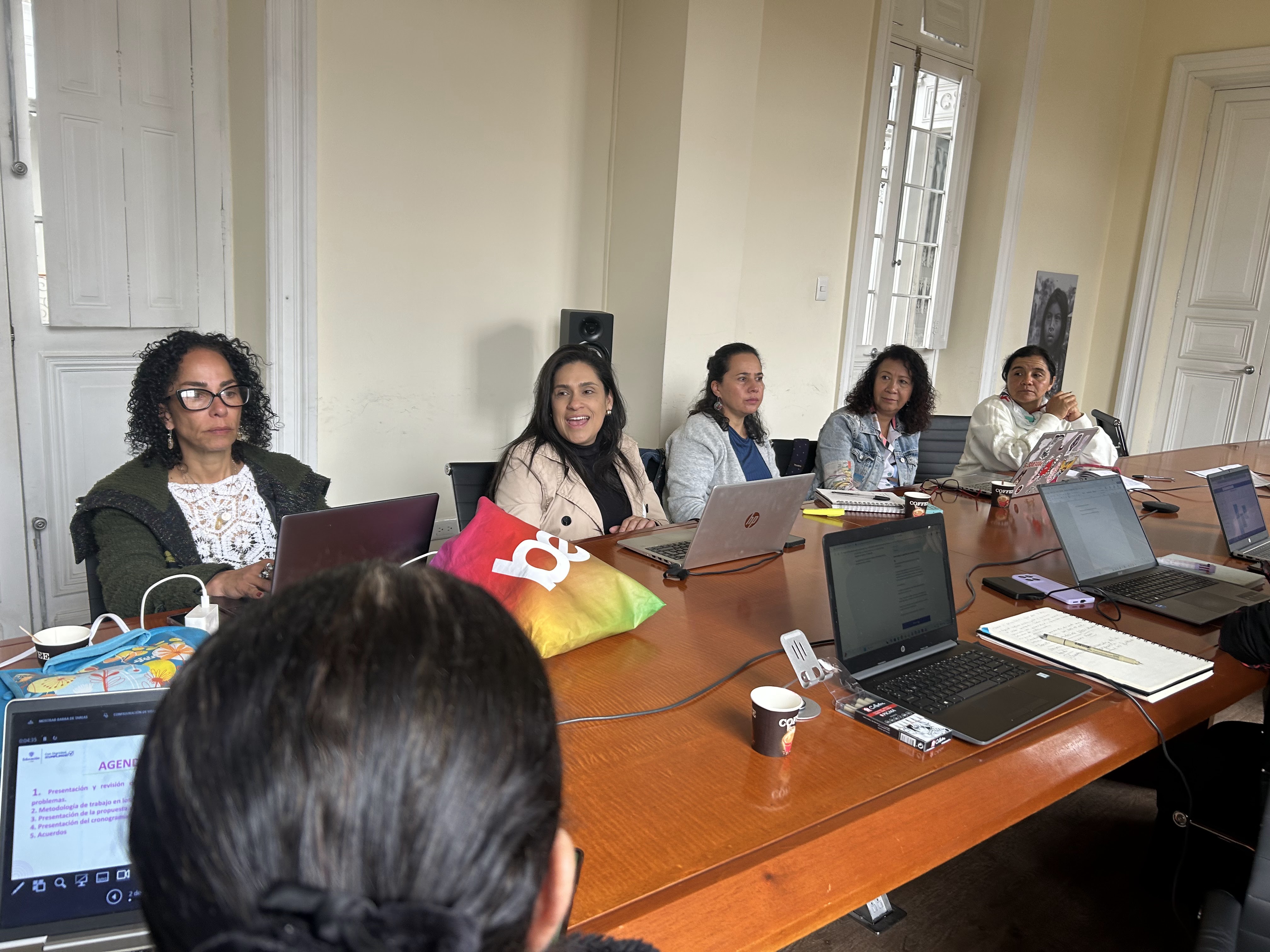Mesa Técnica Interministerial Ley 2555