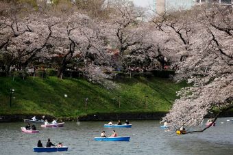Gobierno de Japón abre becas para que colombianos estudien pregrados, maestrías y doctorados