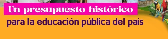  Botón enlace a presupuesto histórico para la educación pública