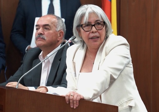 Viceministra de Educación preescolar, básica y media, Gledy Foliaco Rebolledo
