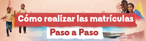 Botón que enlaza a la información Información Matrícula Paso a Paso