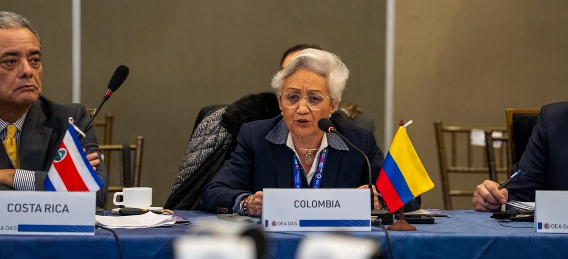 Ministra de Educación Ilva Myriam Hoyos Castañeda en la XII Reunión Interamericana de Ministros de Educación