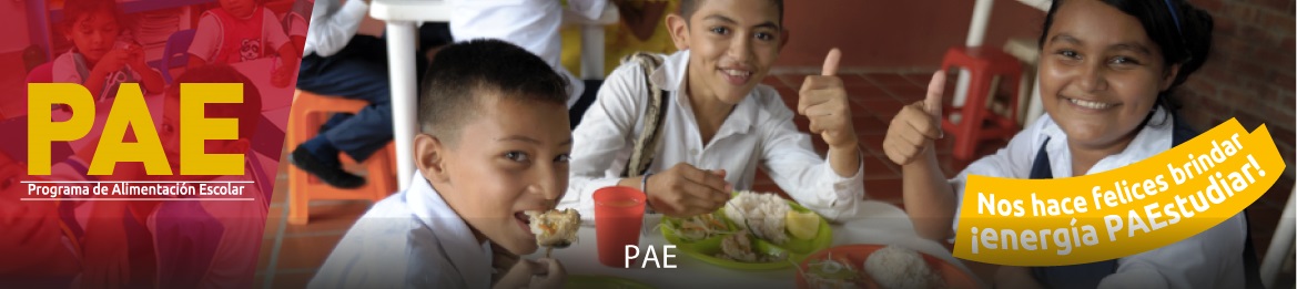 Banner destacado sobre el Programa de Alimentación Escolar